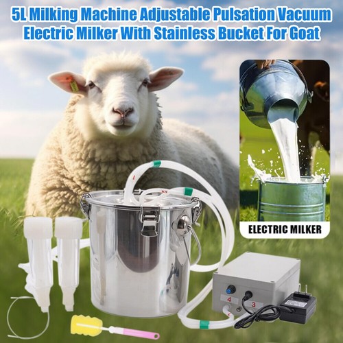 Electric dual head sheep goat - dual,