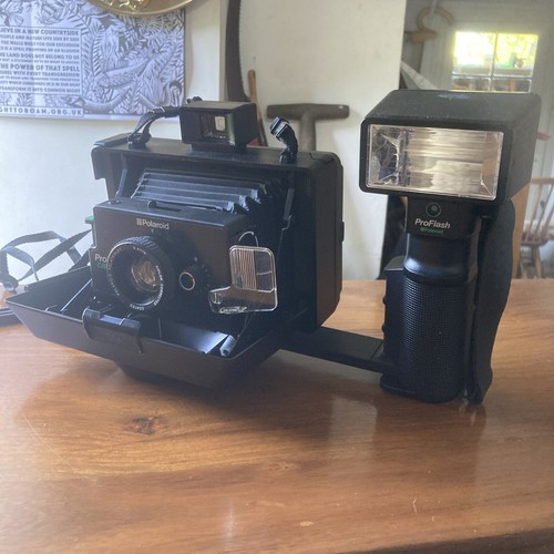 Vintage polaroid pro - vintage, flash
