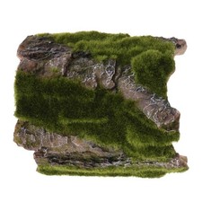 Aquarium Tank Reptile Bends