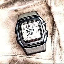 Stainless Steel Casio W96H