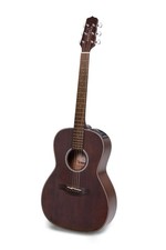 Takamine GY21E Electro