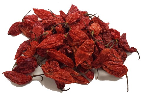 Naga bhut jolokia chilli - naga,