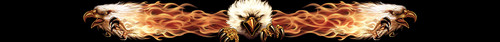 Sticker fire eagle xxl 152 - xxl,