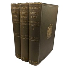 Morris's Nests & Eggs of British Birds, Colour Plates, Very Good Condition, 1896