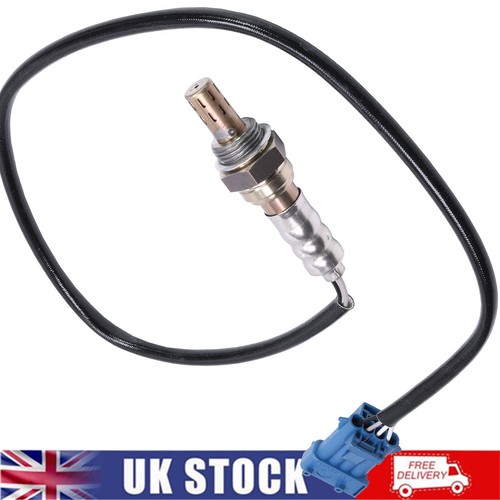 Rear wire oxygen - oxygen, o2