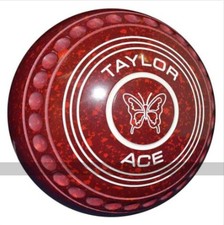 Taylor ACE Coloured Maroon /