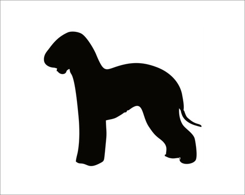 Bedlington terrier dog - dog, car
