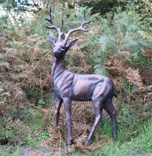Extra Large Standing Stag Buck