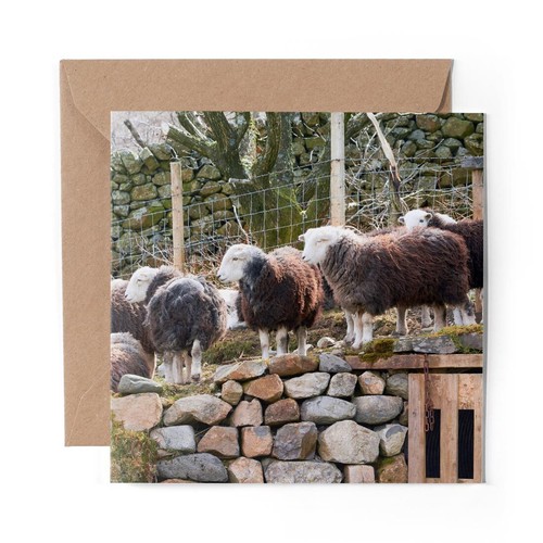 Blank greeting card - 1, x