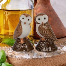 LEONARDO CERAMIC OWLS SALT AND
