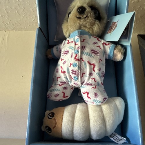 Baby sloth plush - soft, toy