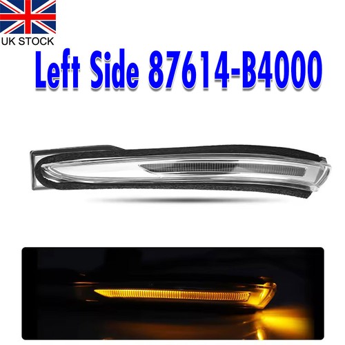 Left side door wing - side,
