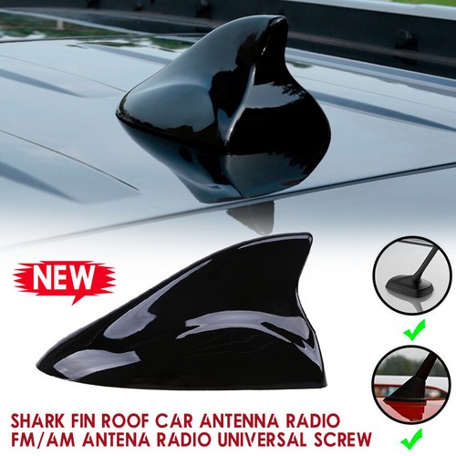 Gloss black car auto - gloss, fin