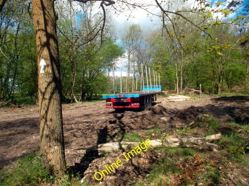 Photo 6x4 timber - photo,