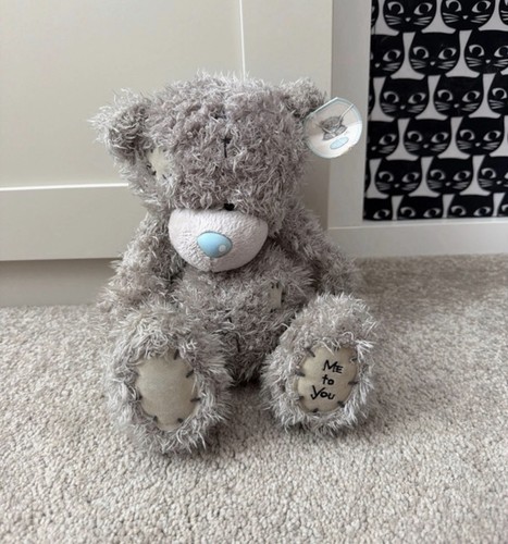 Tatty teddy blue nose friends - teddy,