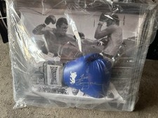 Joe Bugner Professional Boxer