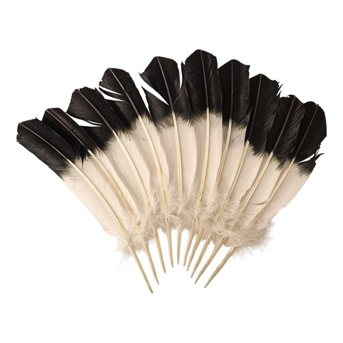 Turkey feather inch pack - inch,