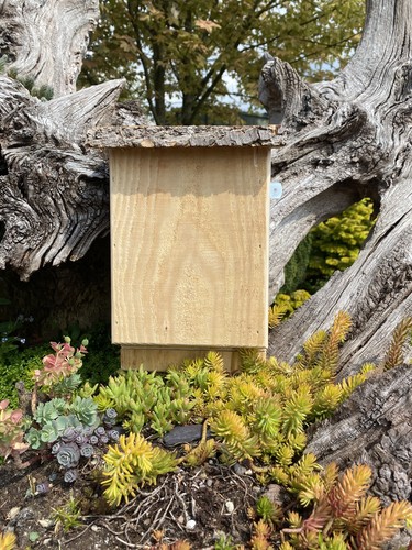 Bat box handmade garden - box,
