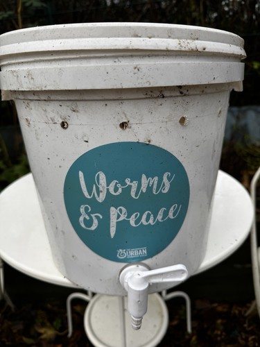 Wormery bucket vermicomposting - wormery,