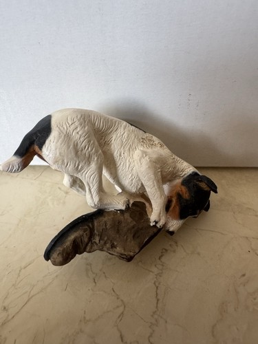 Jack russell terrier - jack,