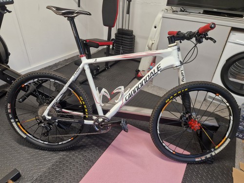 Cannondale lefty flash - lefty, f1