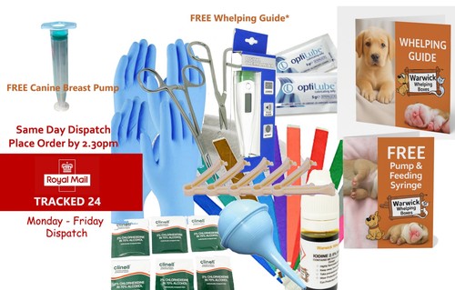 Puppy dog whelping - dog, kit