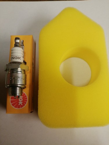 Service kit for briggs - kit, &