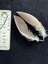 Premuim Jumbo Bronze Mallard Duck feathers