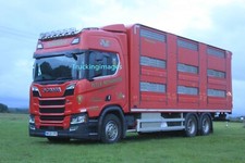 TRUCKINGIMAGES - LIVESTOCK RIGID TRUCKS - 250 LISTED