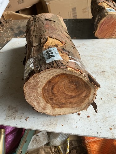 Yew wood length - wood,yew, length,yew,yew