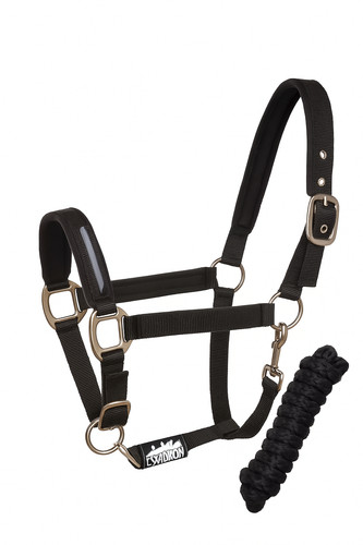 Horse halter headcollar - halter,