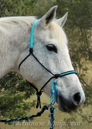 Earthhorse equipment - earthhorse,