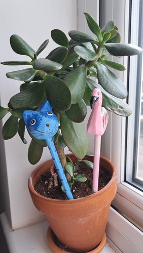 Wooden indoor plant pals - indoor,