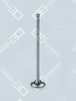Fits for germany 0520 - fits,