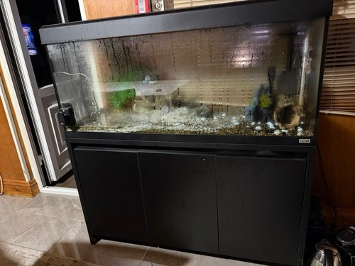 Fluval roma 240l aquarium - fluval,