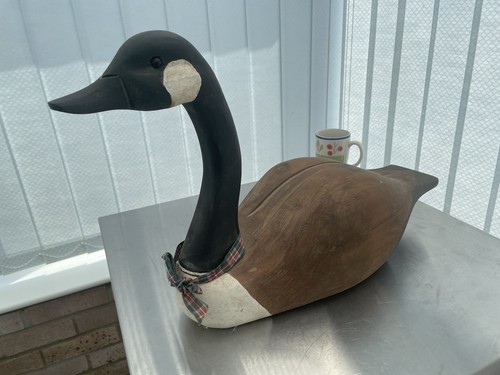 Duck goose canadian - duck,