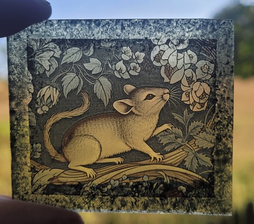 Stained glass mouse permanent