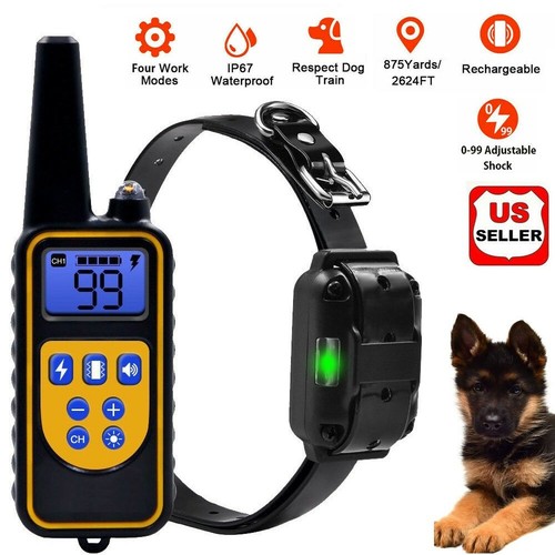 Dog shock training - dog,