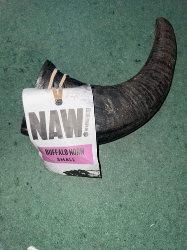 Naw buffalo horn small 2 - buffalo,