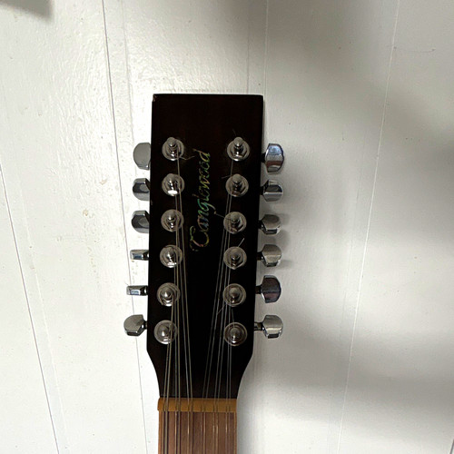 Tanglewood 145 sc - tanglewood, tw-145/12-sc