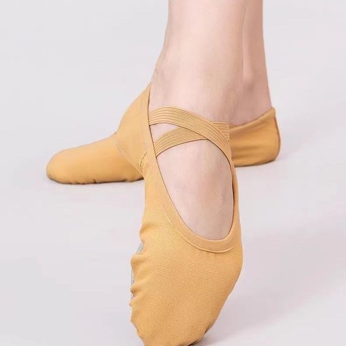 Canvas ballet dance - ballet,