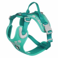 Dog Weekend Warrior Adjustable