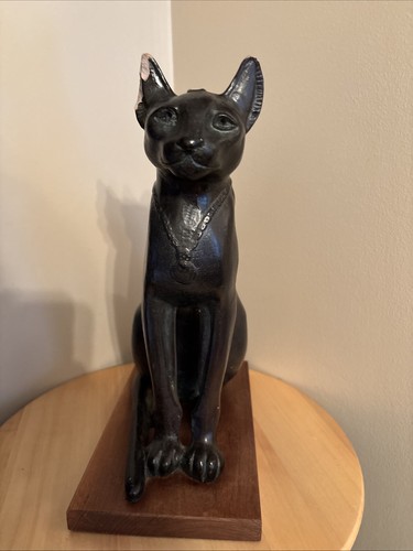 Austin productions - 🐱austin,