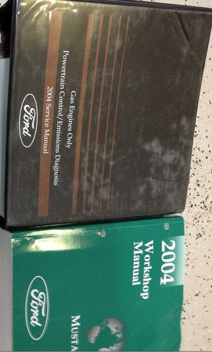 2004 ford mustang - 2004, cobra