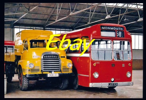 Bus photo red - , white