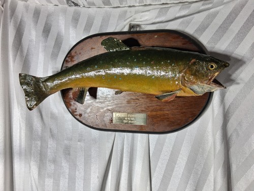 Vintage virginia trophy - virginia,