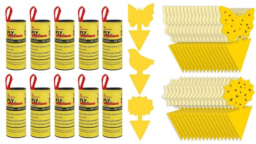 Fruit fly traps indoor - fruit,