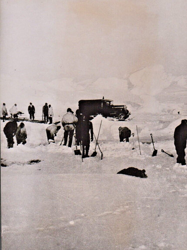 Second byrd antarctic - byrd,