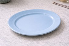 Vintage Woods Ware “Blue