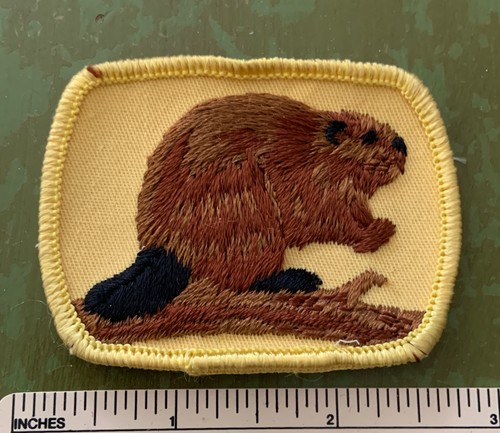 Vintage boy scouts canada - boy,